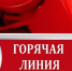 В Курганской области организованы горячие телефонные линии по оказанию помощи семьям мобилизованных граждан - Петуховская ЦРБ