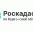 Услуги Роскадастра для жителей Курганской области. - Петуховский муниципальный округ